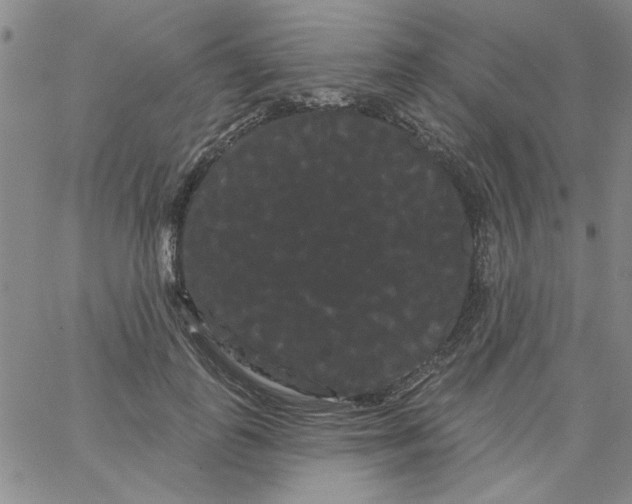 X0000066120747200604071911