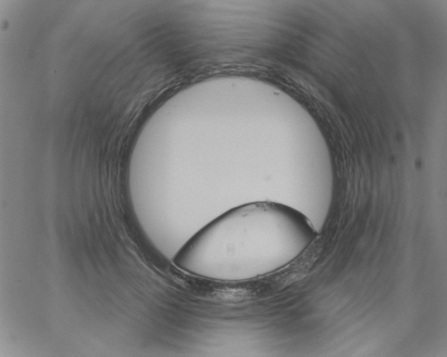 X0000066120748200604071912