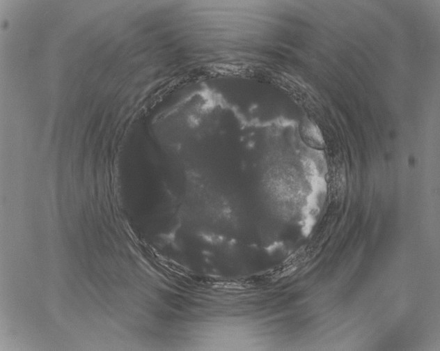 X0000066120749200604071912