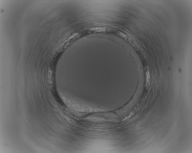 X0000066120750200604071912