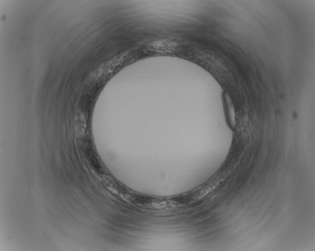 X0000066120752200604071912