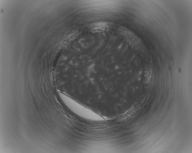 X0000066120753200604071912