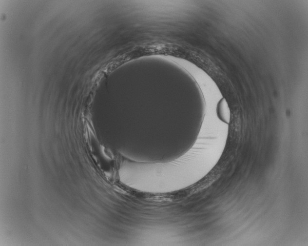 X0000066120754200604071912