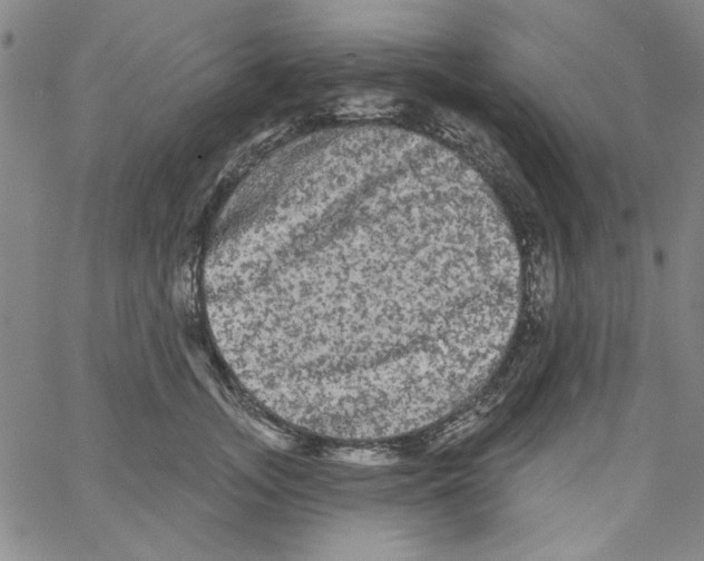 X0000066120755200604071912