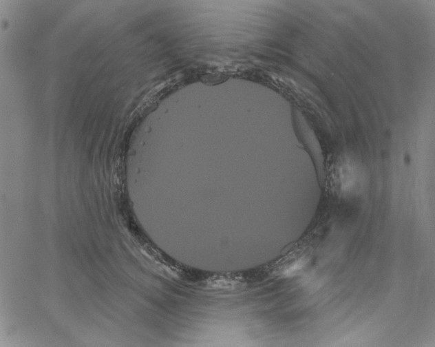 X0000066120756200604071912