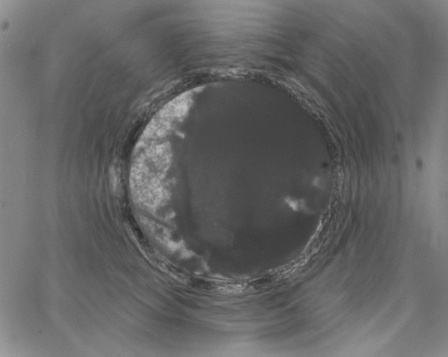 X0000066120757200604071912