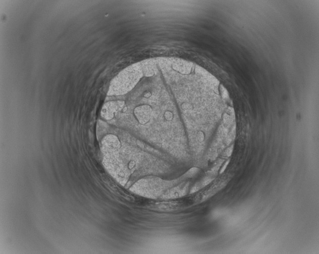 X0000066120758200604071912