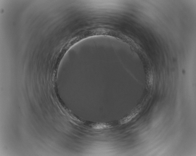 X0000066120759200604071912