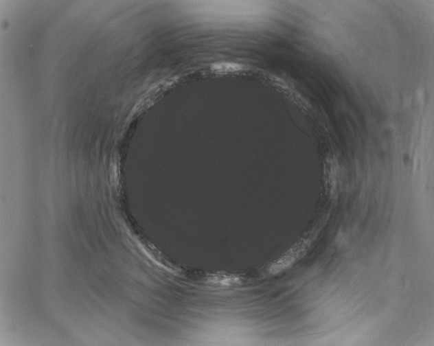 X0000066120760200604071912