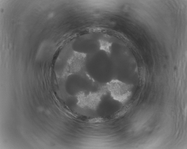 X0000066120761200604071912