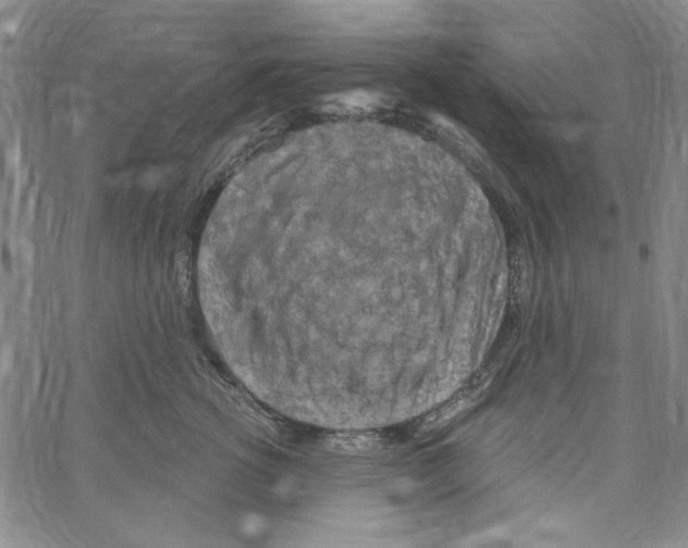 X0000066120762200604071912