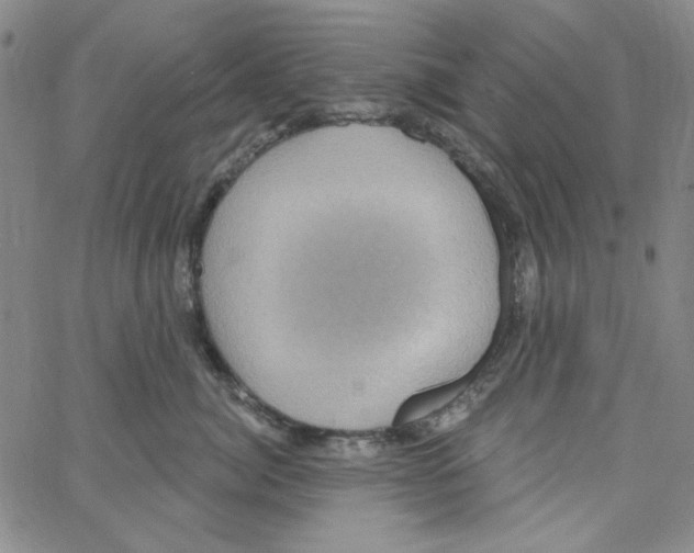 X0000066120764200604071912