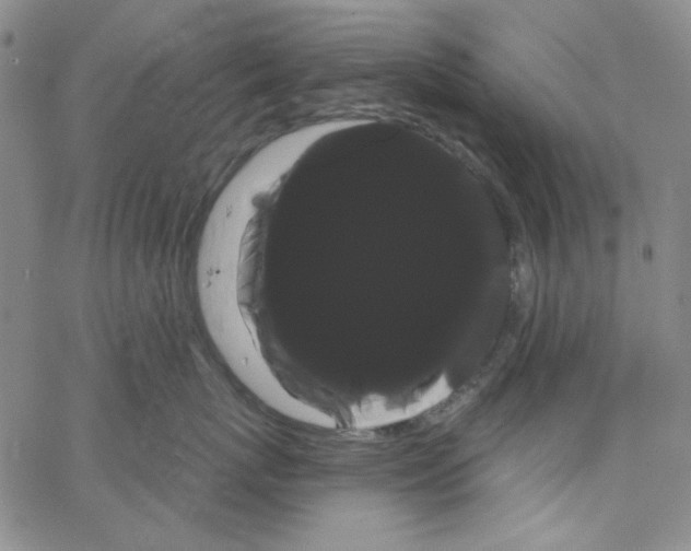 X0000066120767200604071912