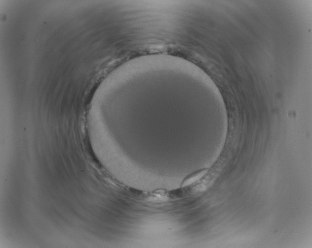 X0000066120768200604071912