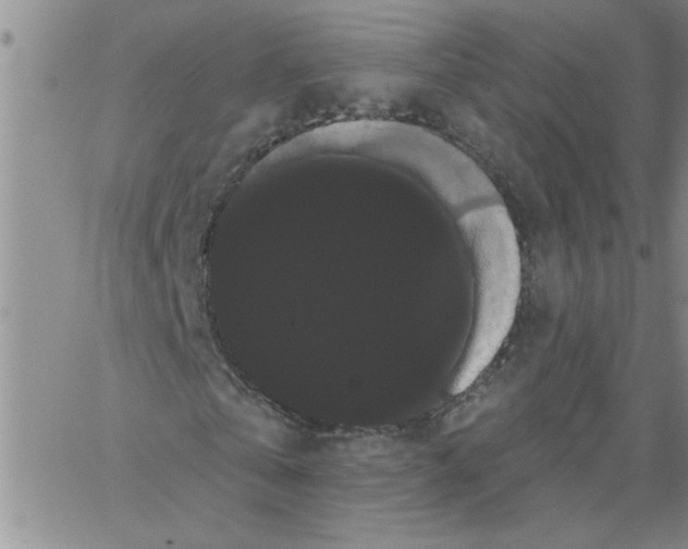 X0000066120769200604071911