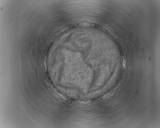 X0000066120771200604071911