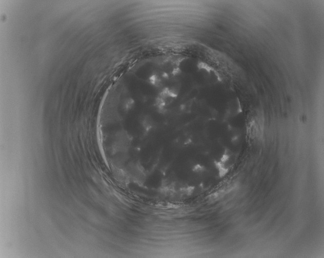 X0000066120772200604071911