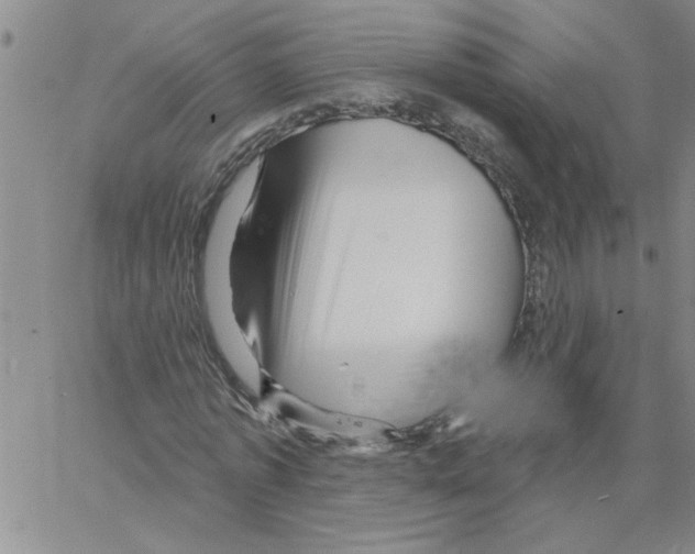 X0000066120773200604071911