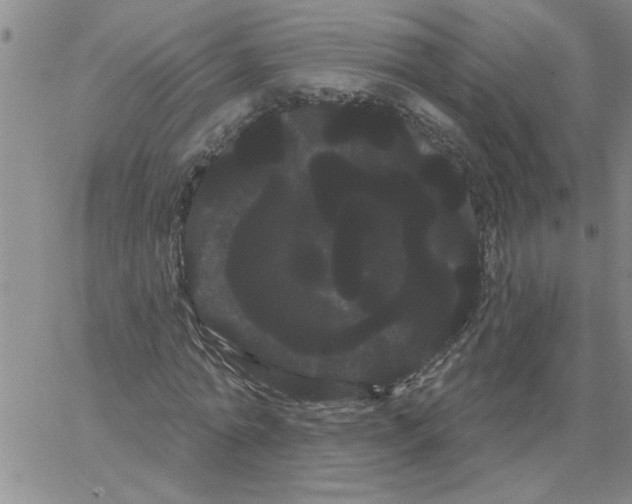 X0000066120774200604071911