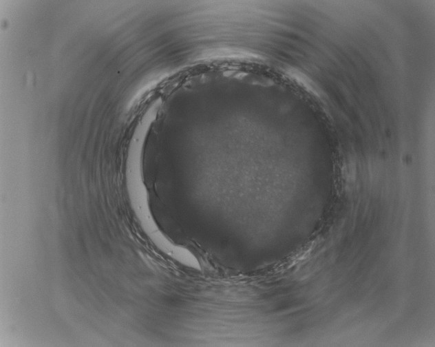 X0000066120775200604071911