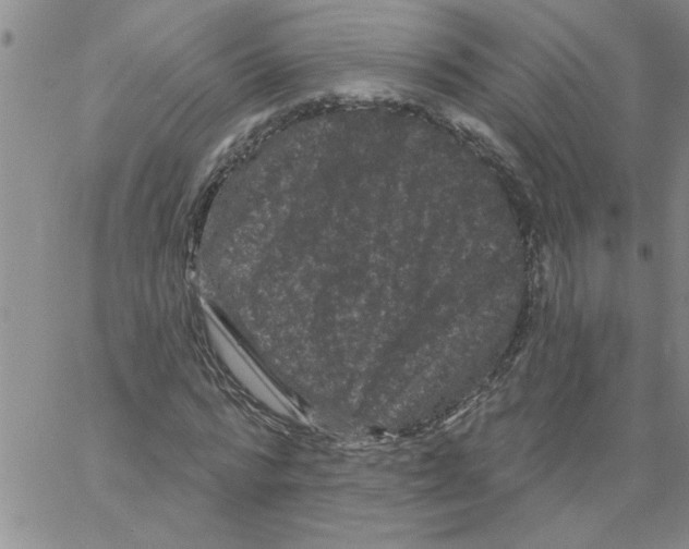 X0000066120776200604071911