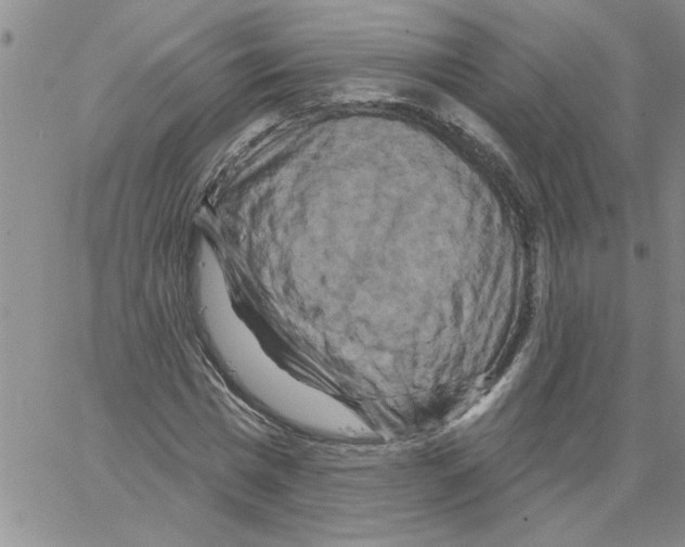 X0000066120777200604071911