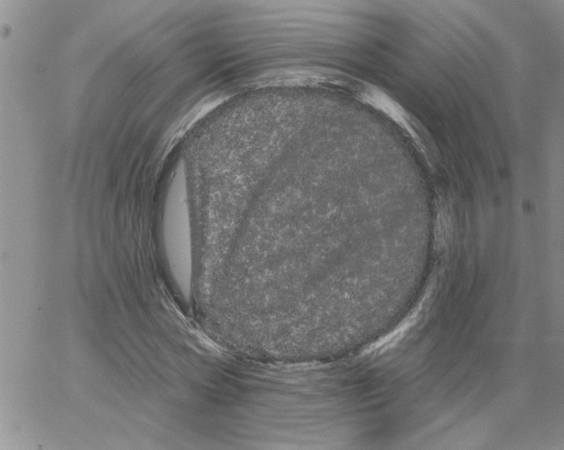 X0000066120778200604071911