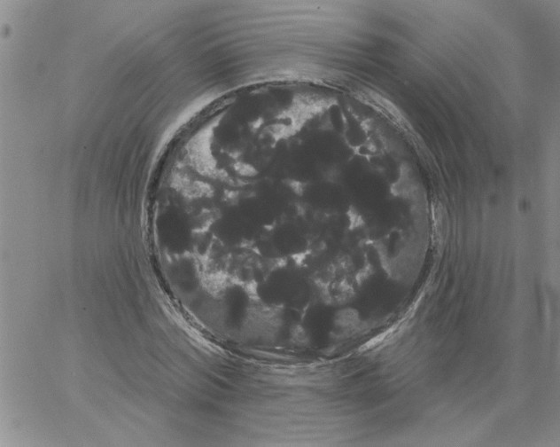 X0000066120780200604071911