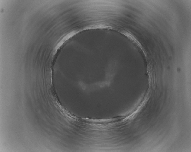 X0000066120781200604071911