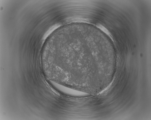 X0000066120782200604071911