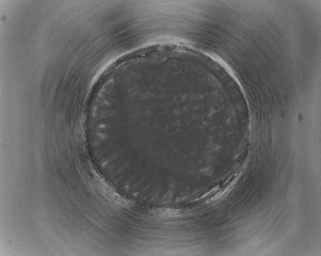 X0000066120783200604071911