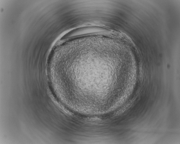 X0000066120784200604071911