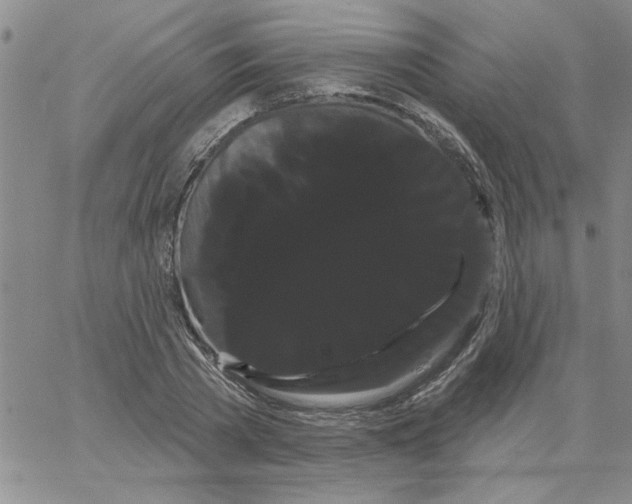 X0000066120785200604071911