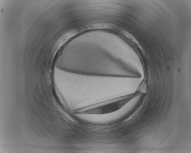 X0000066120786200604071911