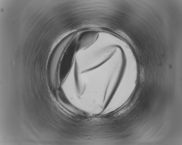 X0000066120787200604071911