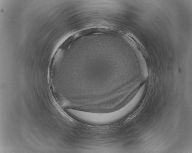 X0000066120788200604071911