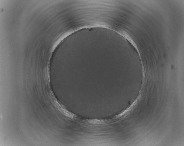 X0000066120789200604071911