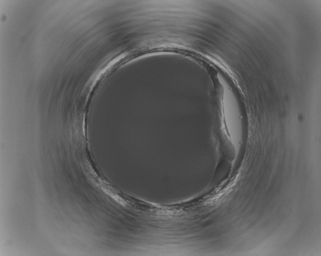 X0000066120790200604071911