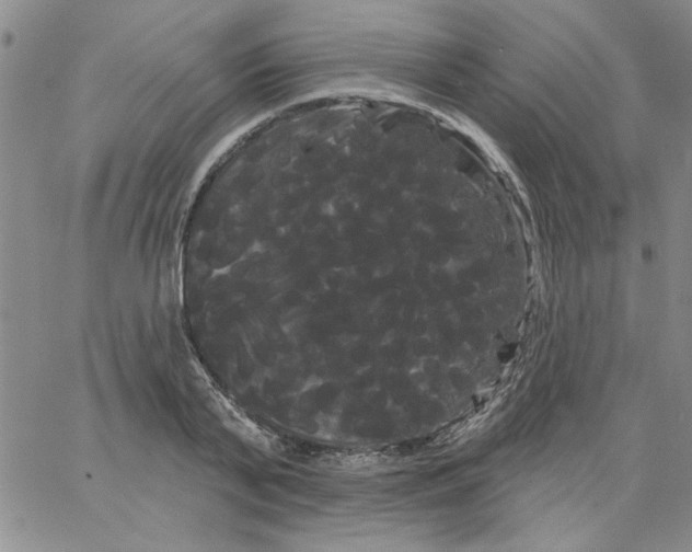 X0000066120791200604071911