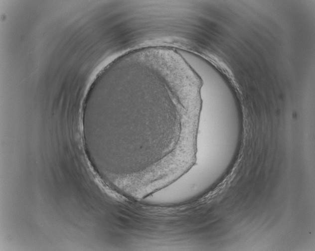 X0000066120792200604071911