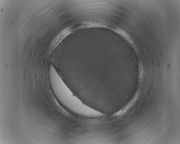 X0000066120793200604071911