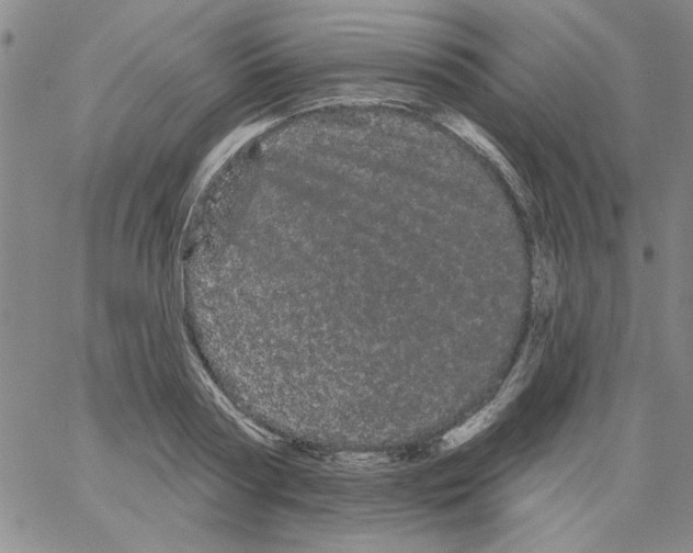 X0000066120794200604071911