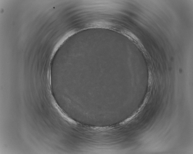 X0000066120796200604071911