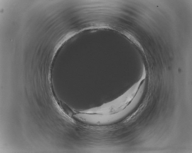 X0000066120797200604071911