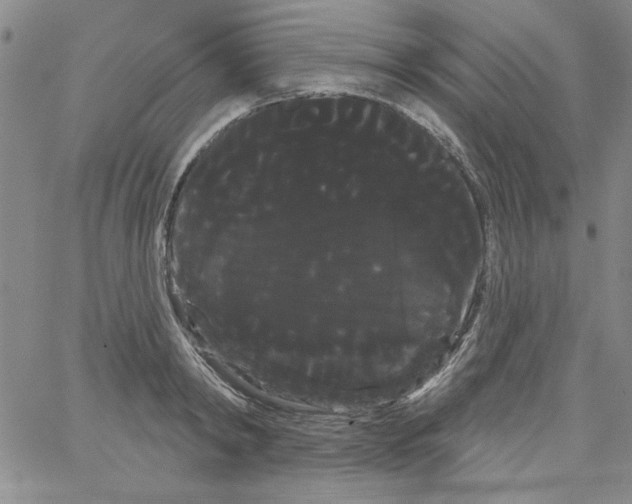 X0000066120798200604071911