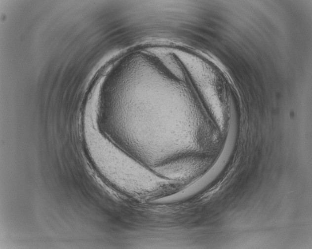 X0000066120799200604071911