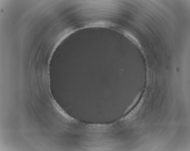 X0000066120800200604071911