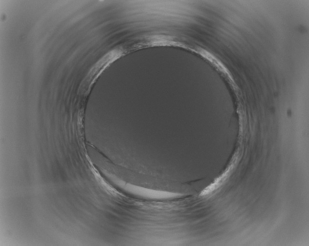 X0000066120801200604071911