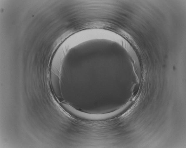 X0000066120802200604071911