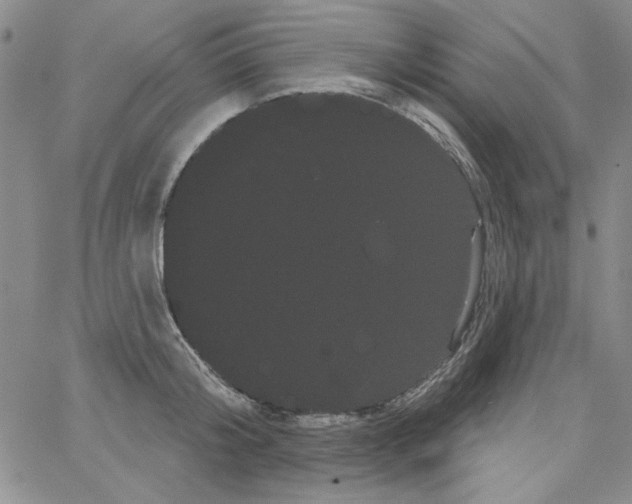 X0000066120804200604071910